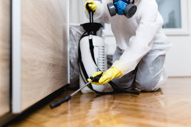 Best Affordable Pest Control Services  in Amite City, LA