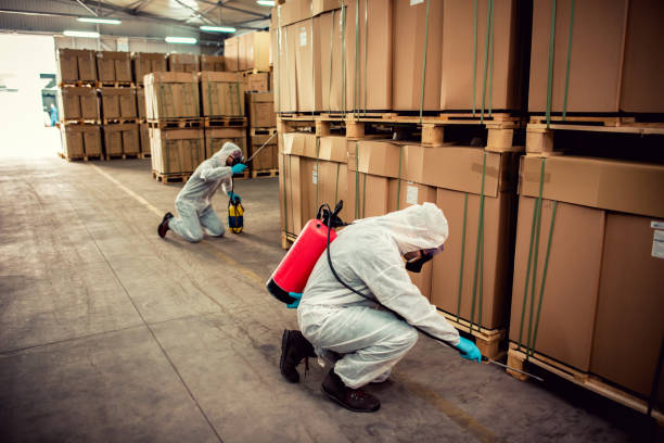 Best Affordable Pest Control Services  in Amite City, LA