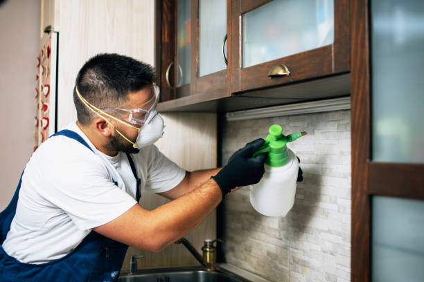 Best Residential Pest Control  in Amite City, LA