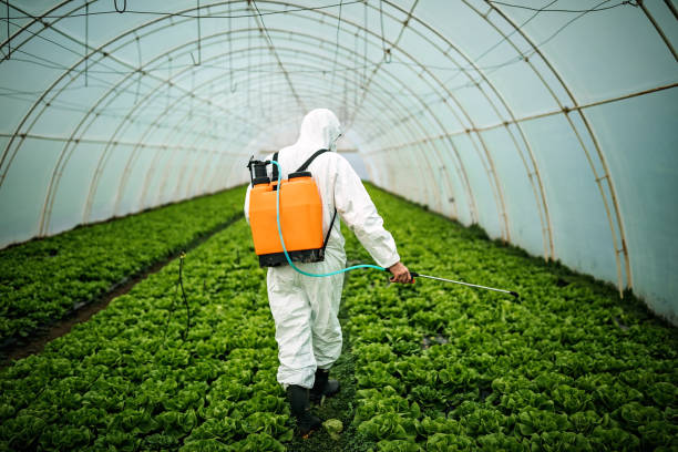 Best Pest Inspection Near Me  in Amite City, LA