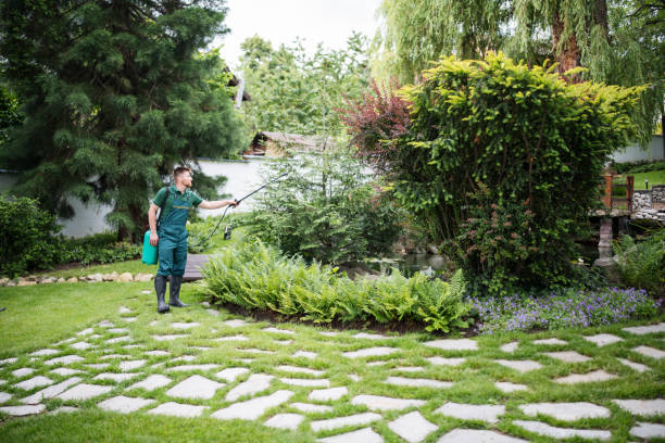 Pest Prevention Services in Amite City, LA
