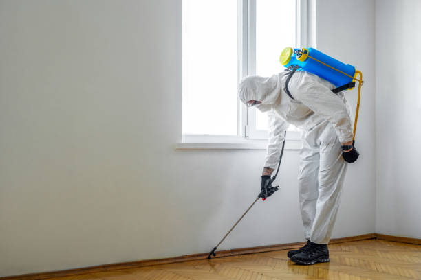 Professional Pest Control in Amite City, LA