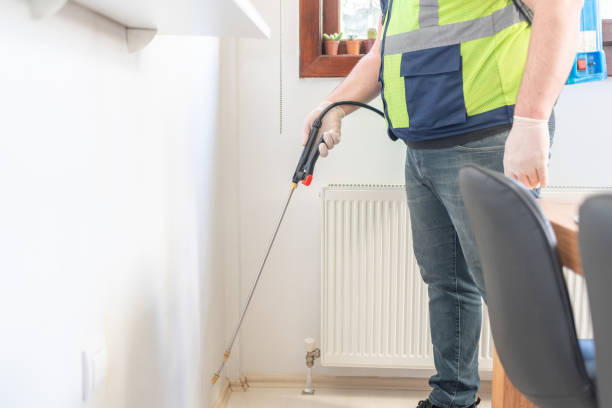 Best Termite Control Services  in Amite City, LA
