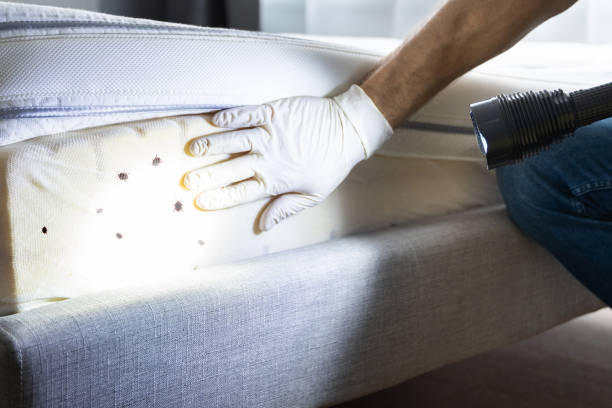 Best Pest Prevention Services  in Amite City, LA