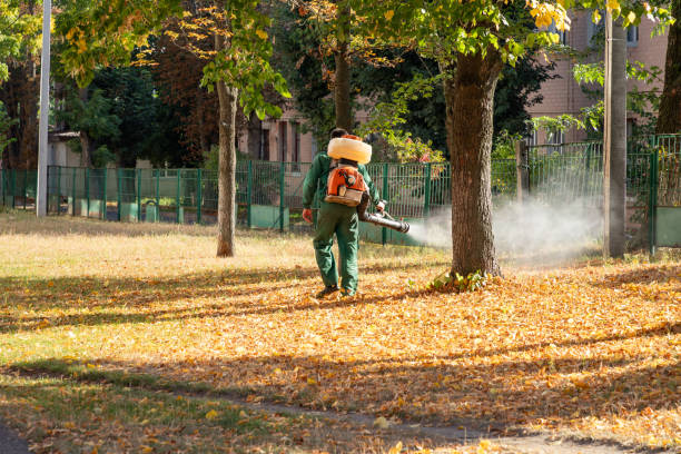 Wildlife Control Services in Amite City, LA