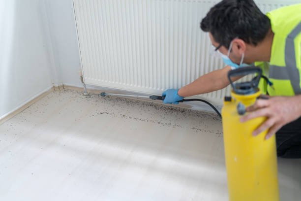 Best Wasp Removal Services  in Amite City, LA