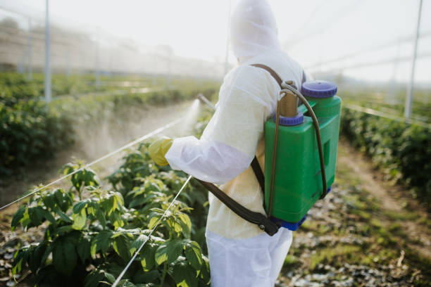 Best Pest Control Near Me in Amite City, LA